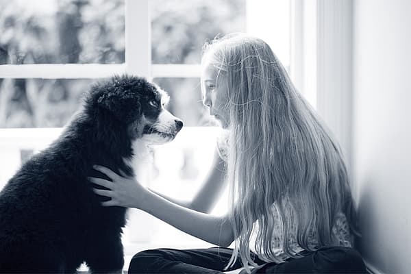 Een kind dat een hond aait.