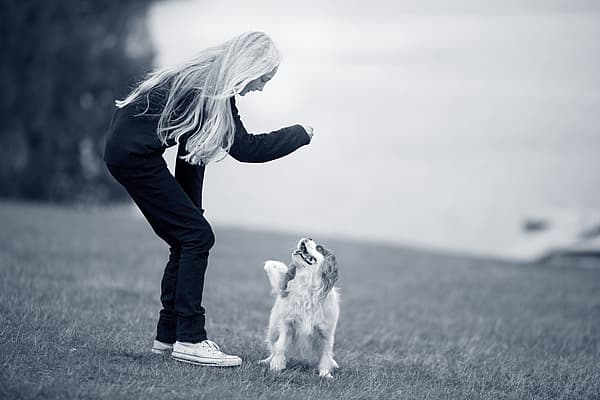 Een persoon die met een hond speelt.