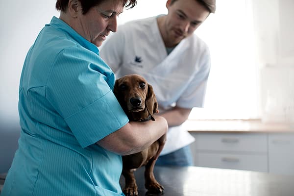 Een persoon die een hond vasthoudt.