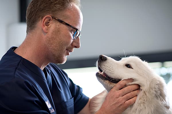 Een persoon die een hond vasthoudt.