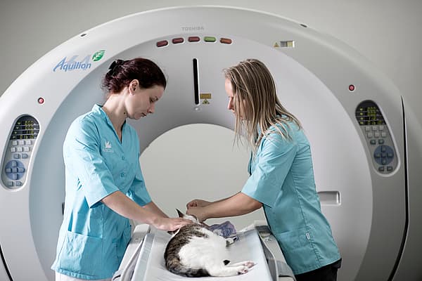 Een persoon en een kat in een CT-scanmachine.