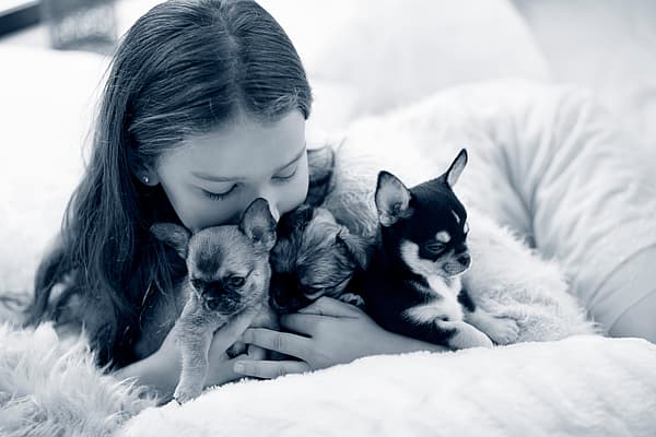 Een kind dat een paar puppy's vasthoudt.