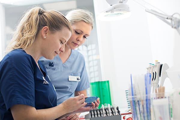 Een persoon die een mobiele telefoon bekijkt.