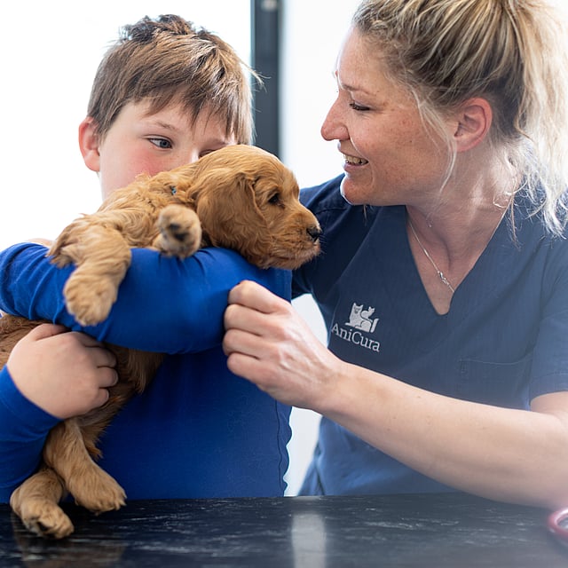 Een persoon die een hond vasthoudt.