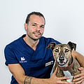 Photo of Dominique Flipse, Dierenarts