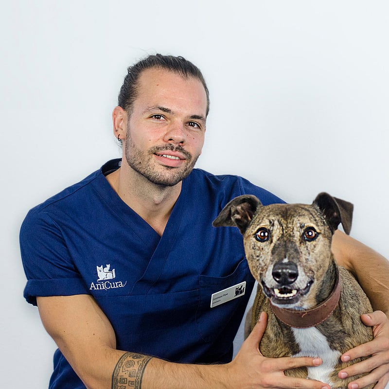 Photo of Dominique Flipse, Dierenarts