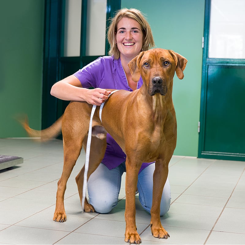 Photo of Jeanine Swaving, Paraveterinair