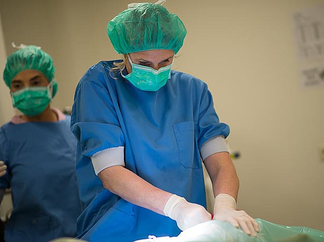 Een persoon in scrubs en chirurgische kap die een operatie uitvoert.