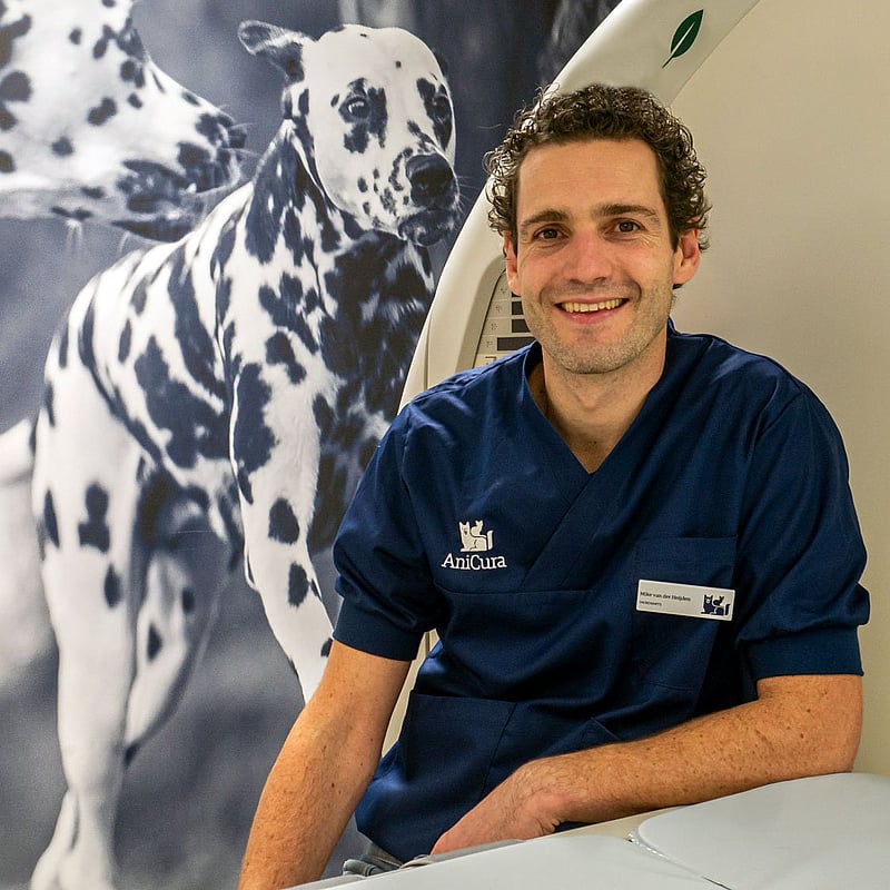 Photo of Mike van der Heijden, Dierenarts