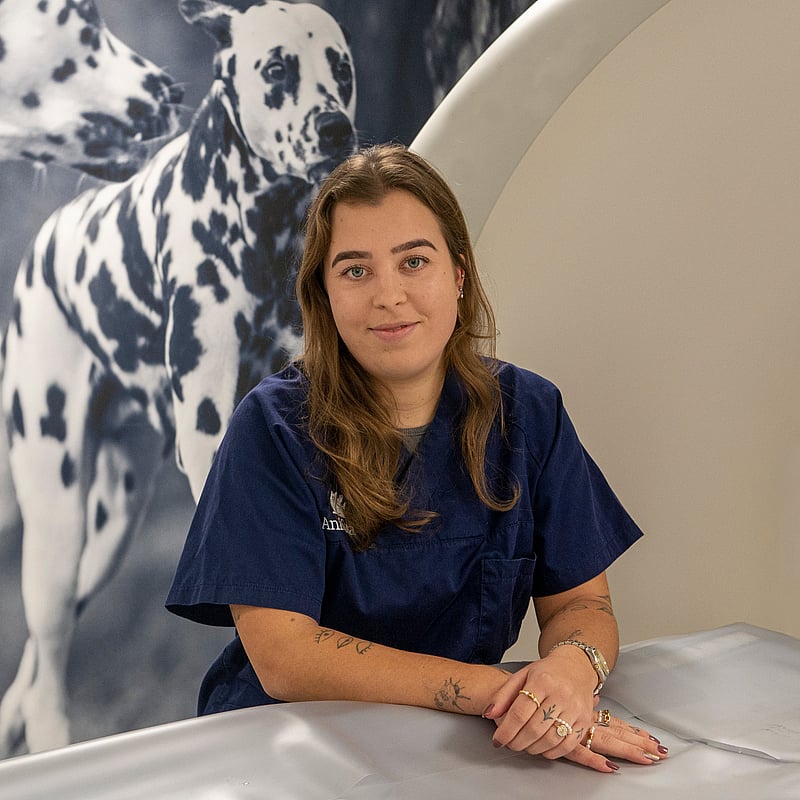 Photo of Lieke Driessen, Paraveterinair