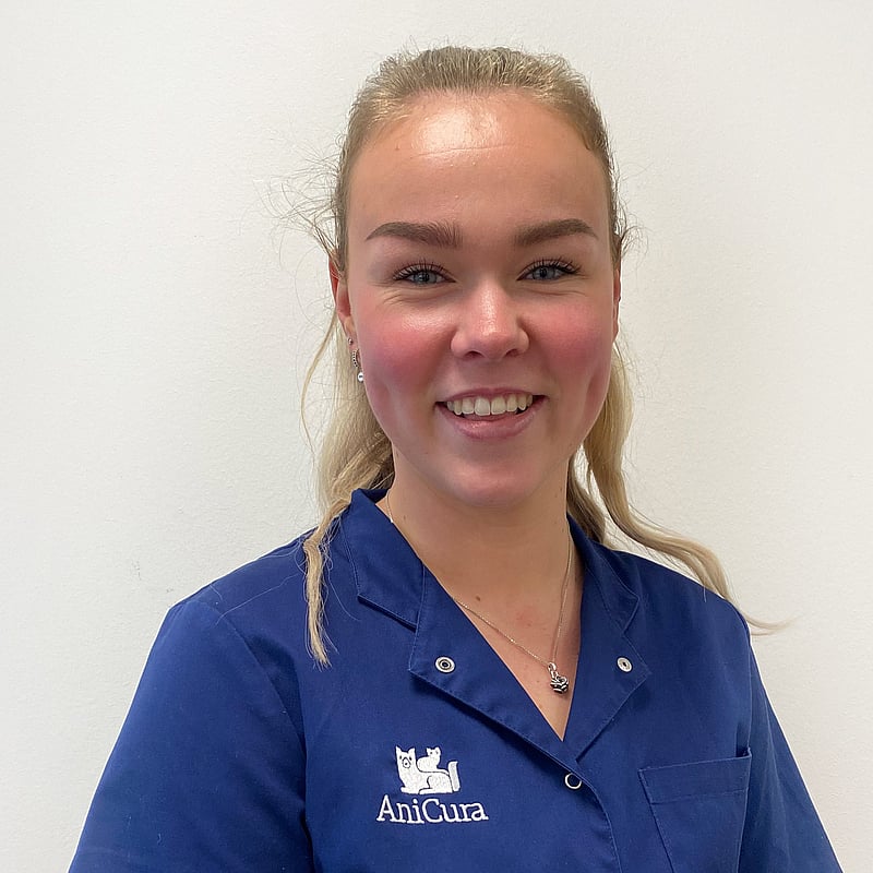 Photo of Lotte Korver, Veterinair Ondersteuner