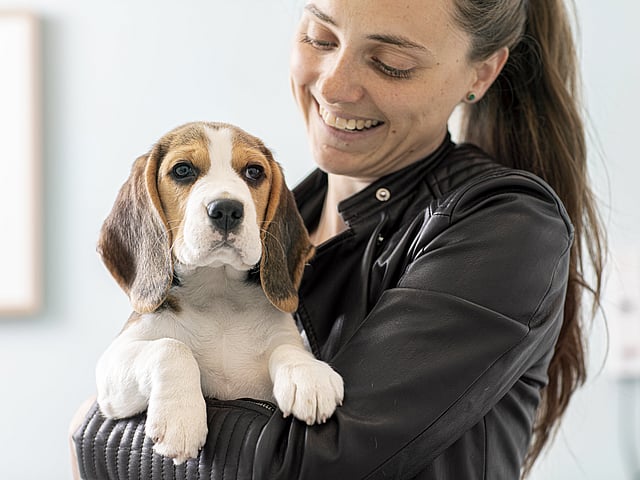 Een persoon die een hond vasthoudt.