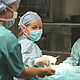 Photo of Nicolien van Klaveren, Dierenarts-specialist
