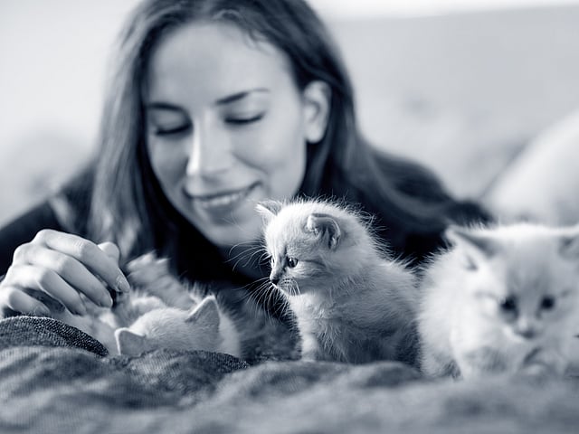 Een persoon die kittens aait.