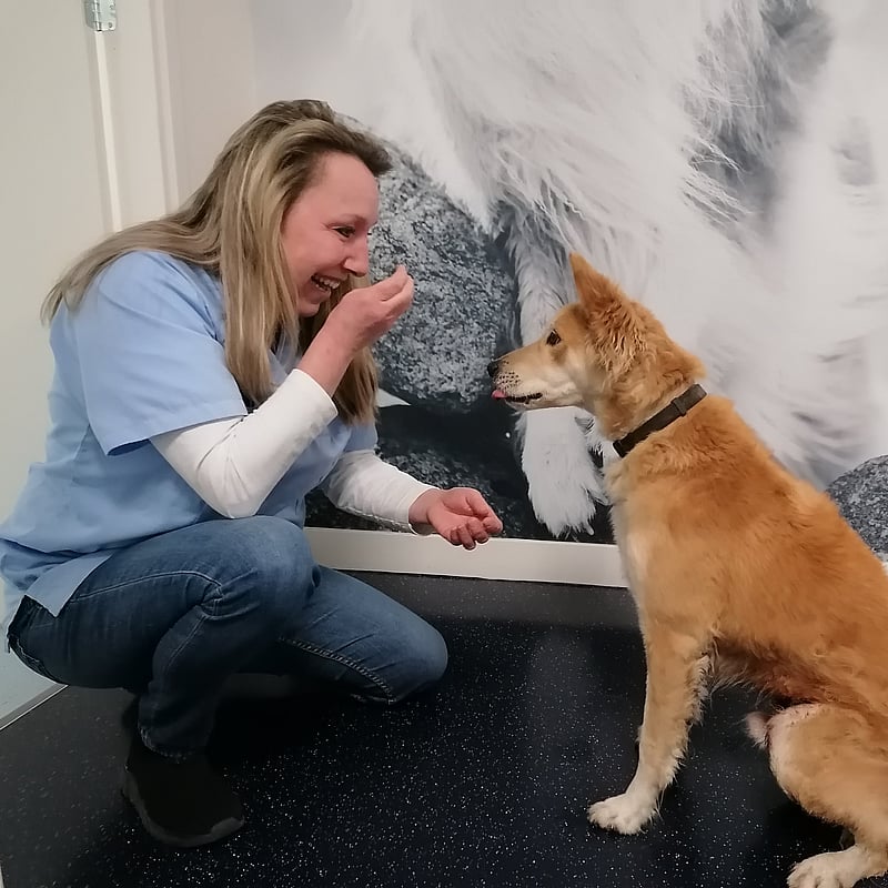 Photo of Renate van Zijst, Paraveterinair
