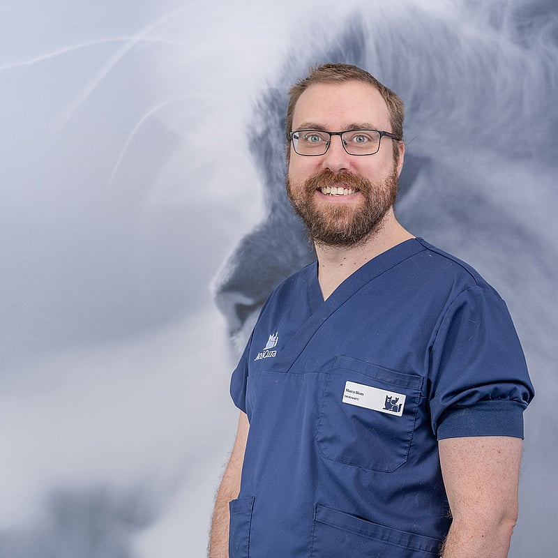 Photo of Marco Blom, Dierenarts