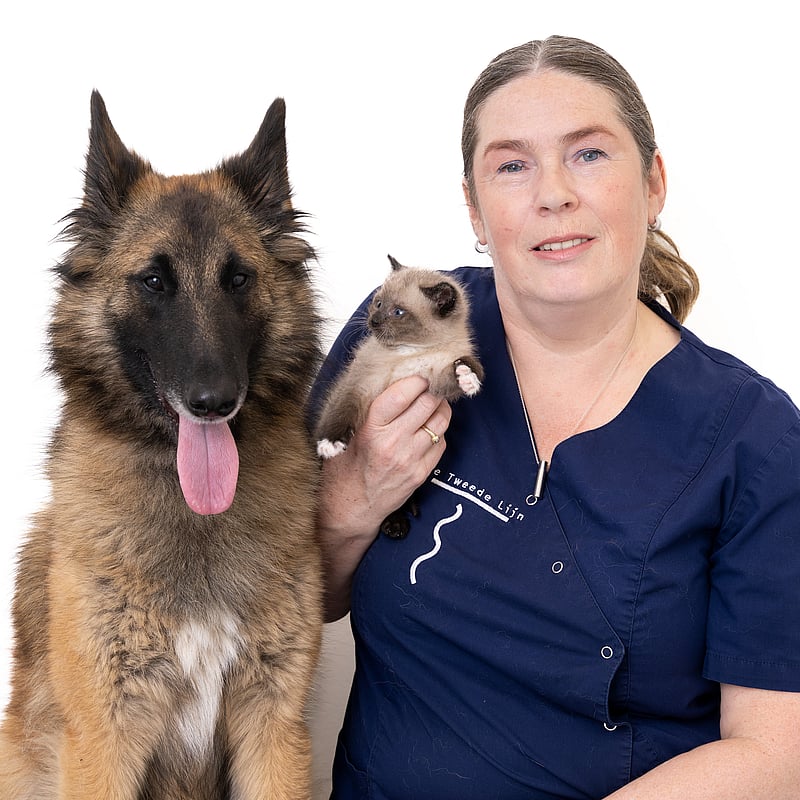 Photo of Jolanda Prins, Veterinair Ondersteuner
