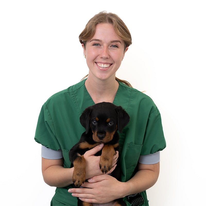 Photo of Carly Zandstra, Paraveterinair