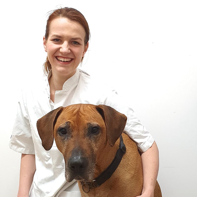 Photo of Tessa Könning, Dierenarts Specialist