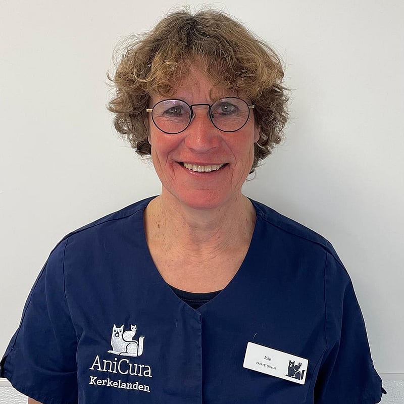 Photo of Joke, Paraveterinair