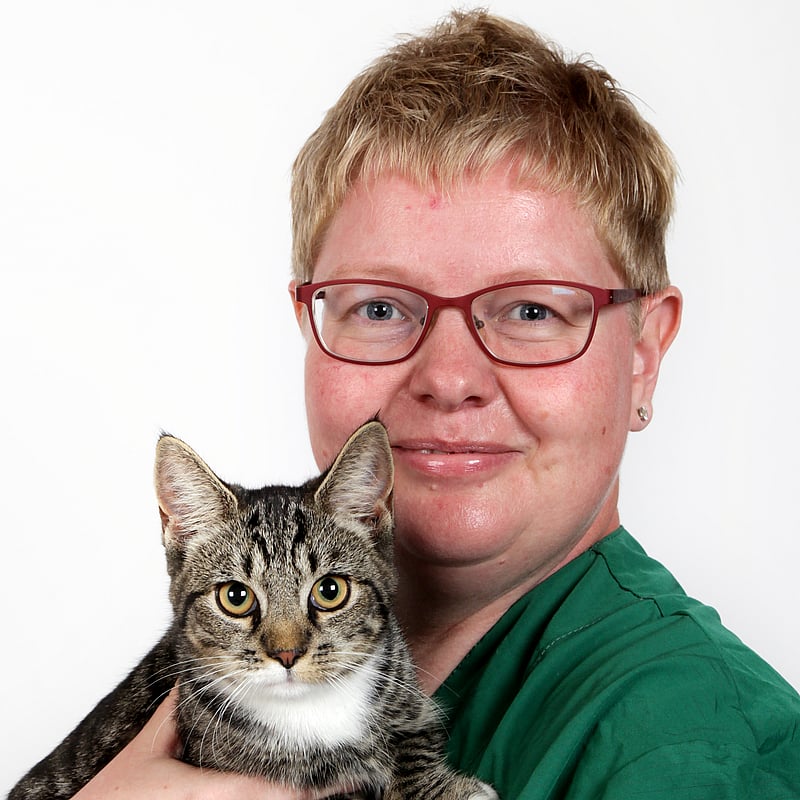 Photo of Karien Baaiman, Veterinair Ondersteuner