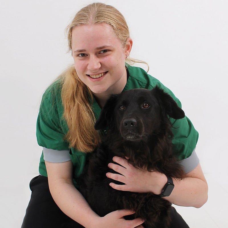 Photo of Amber Schoonhoven, Dierenarts In Opleiding