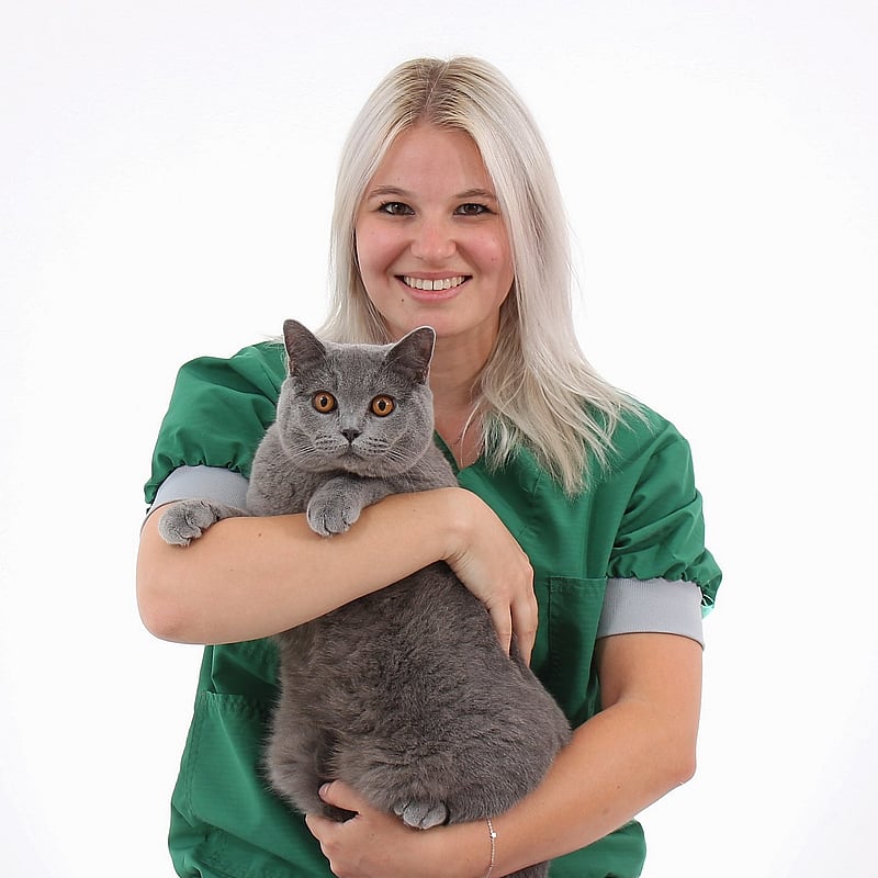 Photo of Sylvana van Veluw, Paraveterinair
