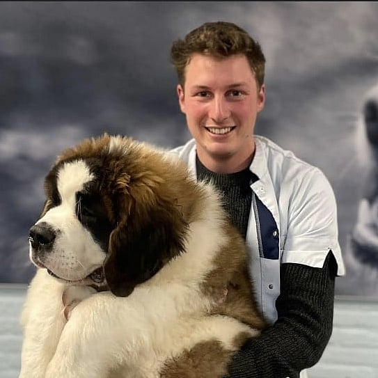Photo of Igor Van Den Brulle, Dierenarts