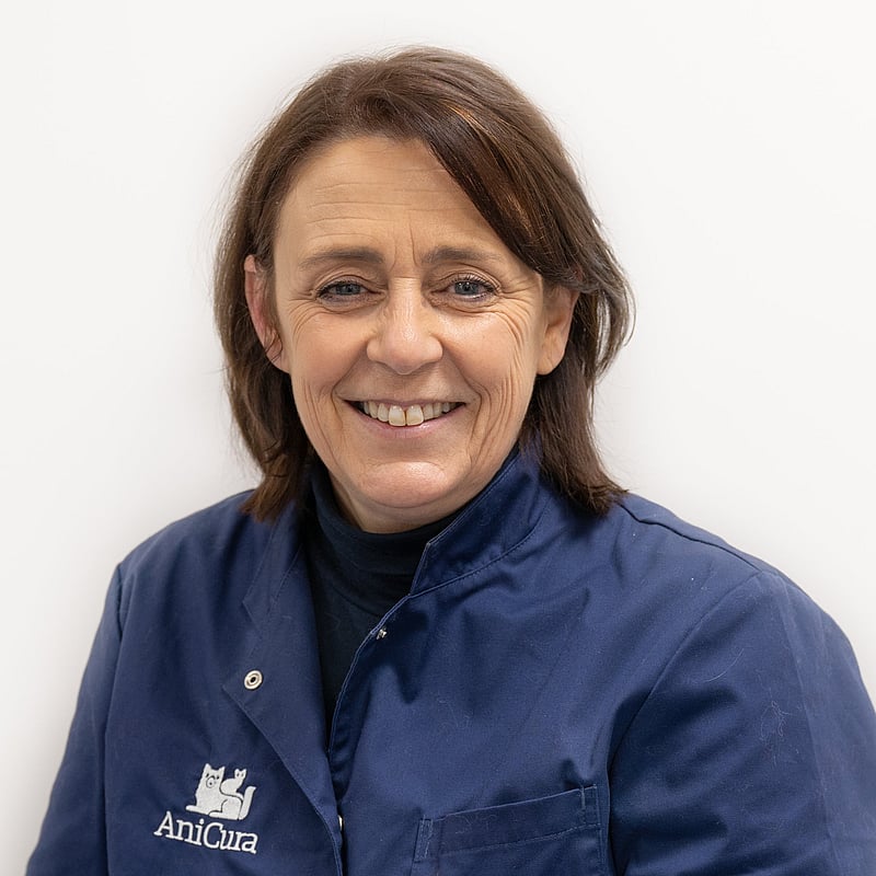 Photo of Danielle de Wilde, Administratief Medewerker