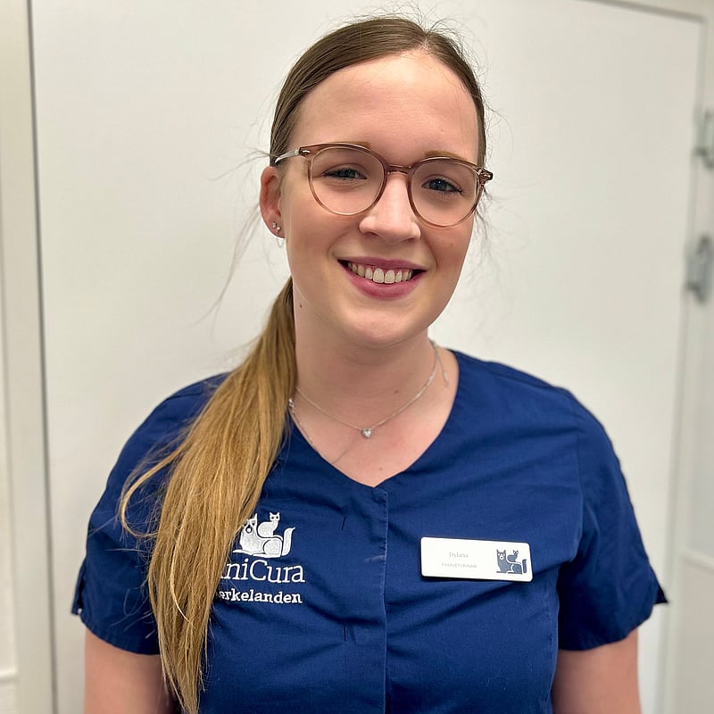 Photo of Dylana, Paraveterinair