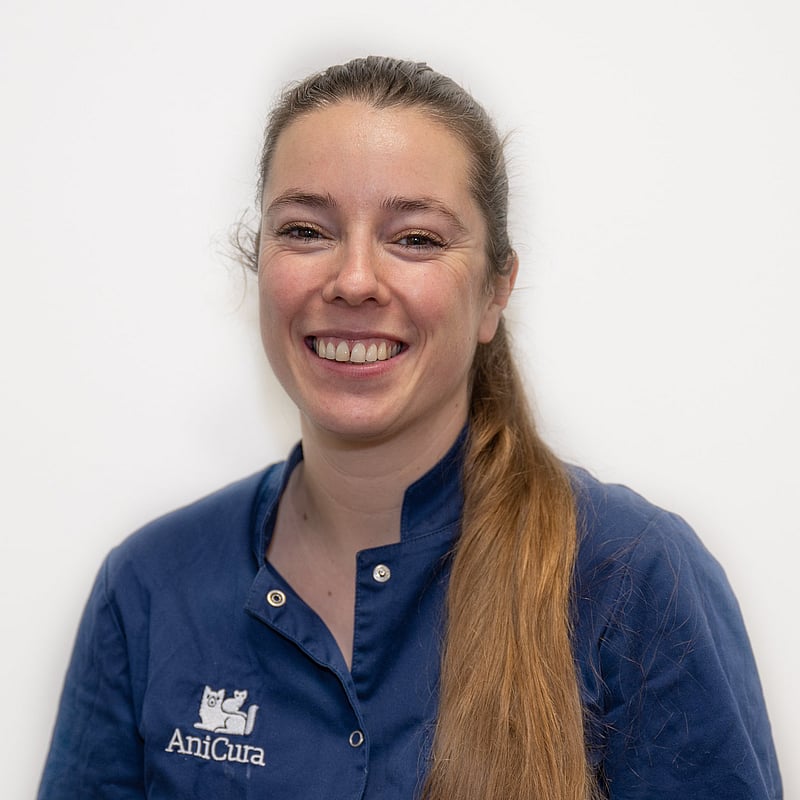 Photo of JosƩ, Veterinair Ondersteuner