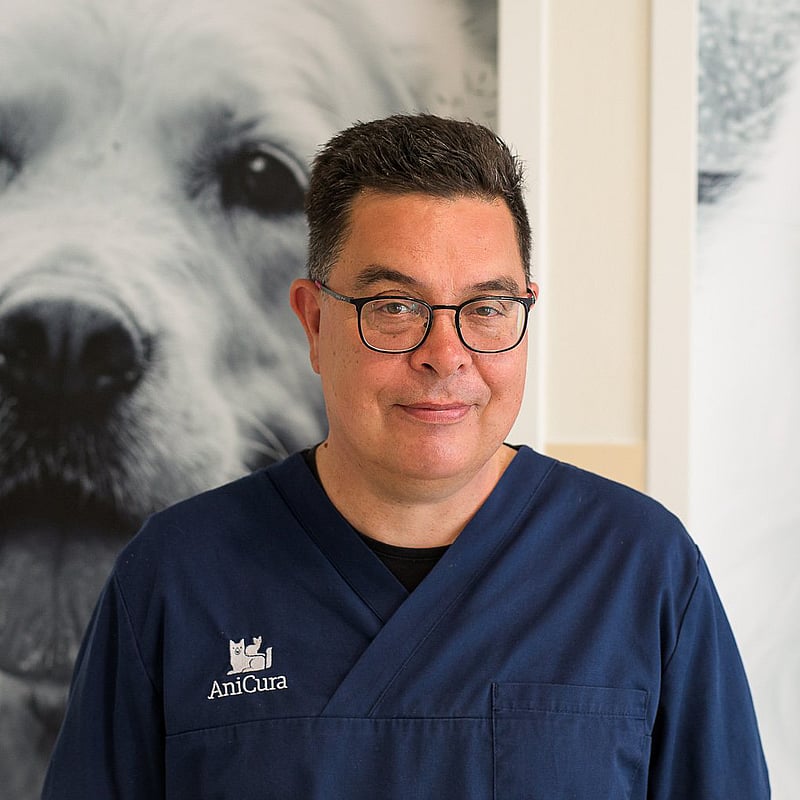 Photo of Jeroen Jen Hong Li, Dierenarts