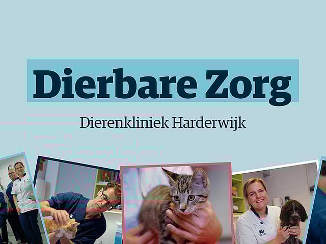 Een collage van mensen die een kat vasthouden.