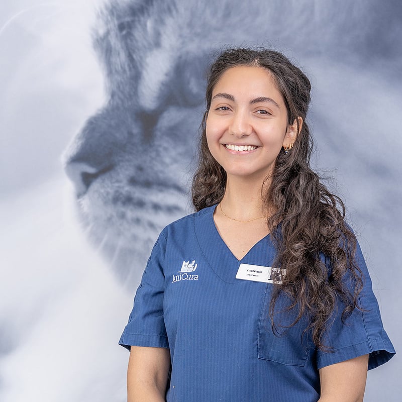 Photo of Fulya Dogan, Dierenarts