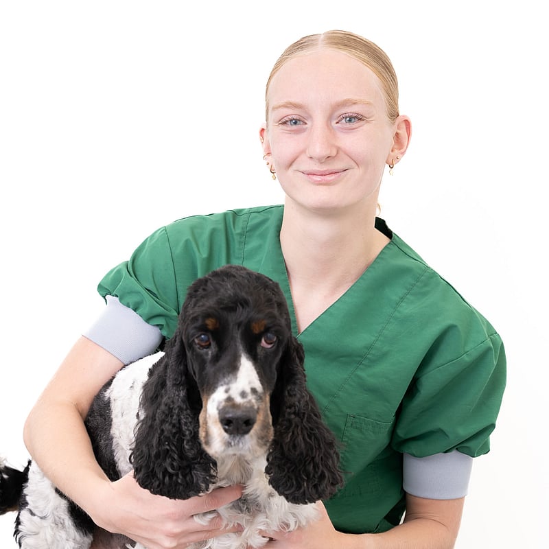 Foto van Merit Westerink, Paraveterinair