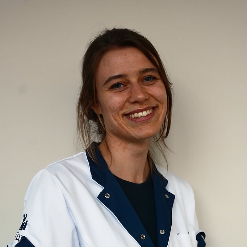 Foto van Iris Hofstra, Dierenarts