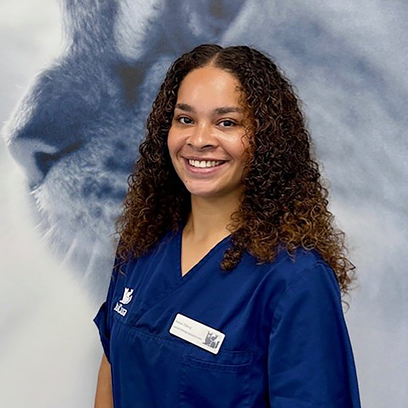 Photo of Kenza, Paraveterinair