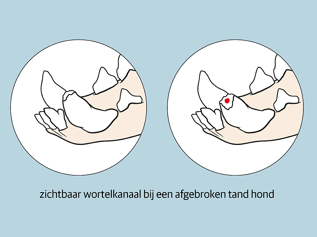 Een paar handen met rode harten.