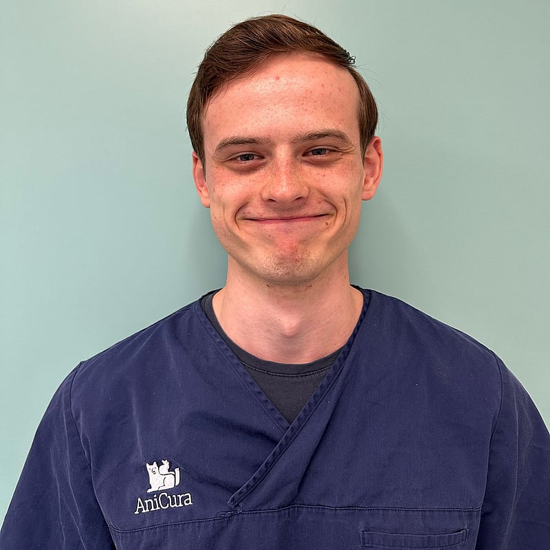 Photo of Martijn Vis, Dierenarts In Opleiding