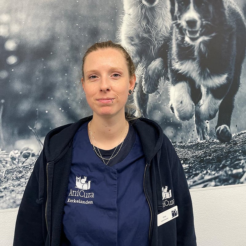 Photo of Gioya, Paraveterinair