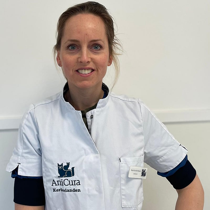 Photo of Marrit van der Meulen, Dierenarts