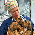 Photo of Gusta Lamers, Dierenarts