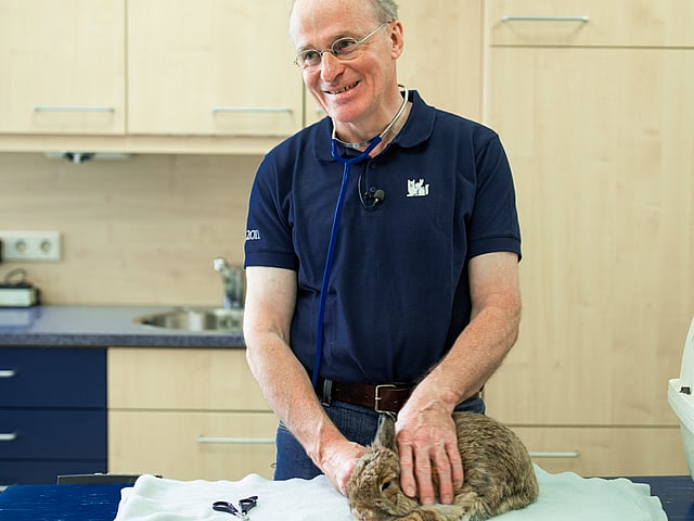 Een persoon die een kat vasthoudt.