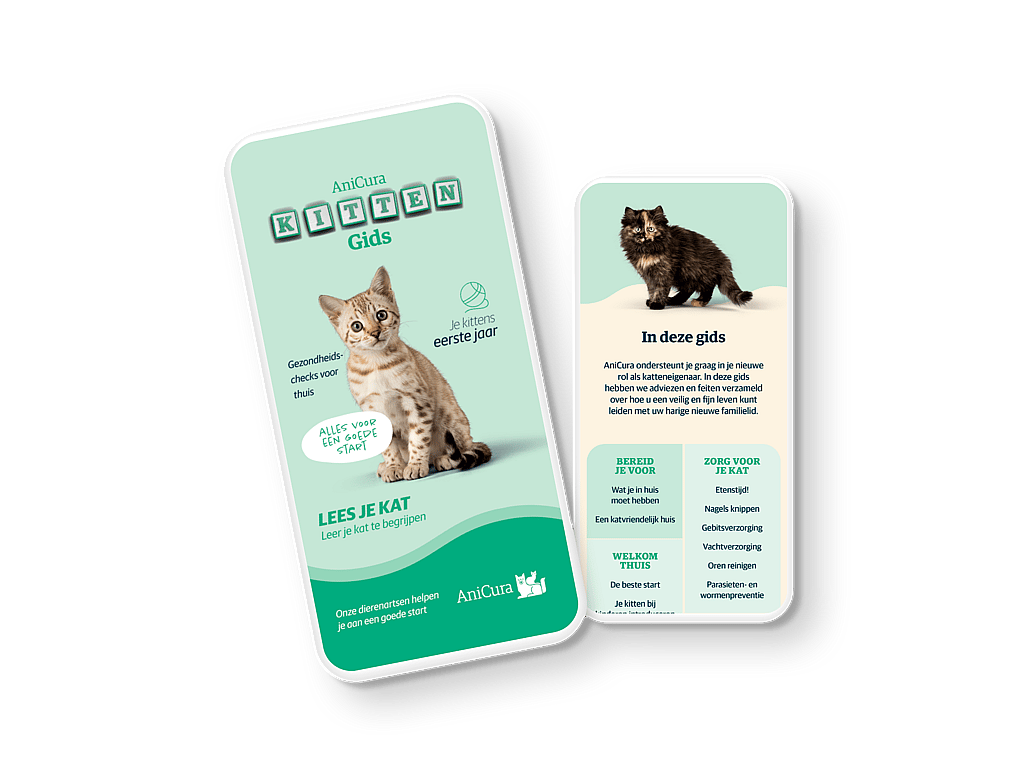 Twee kaarten met een afbeelding van een kat.