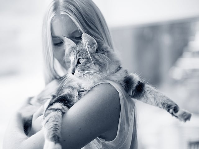 Een persoon die een kat vasthoudt.