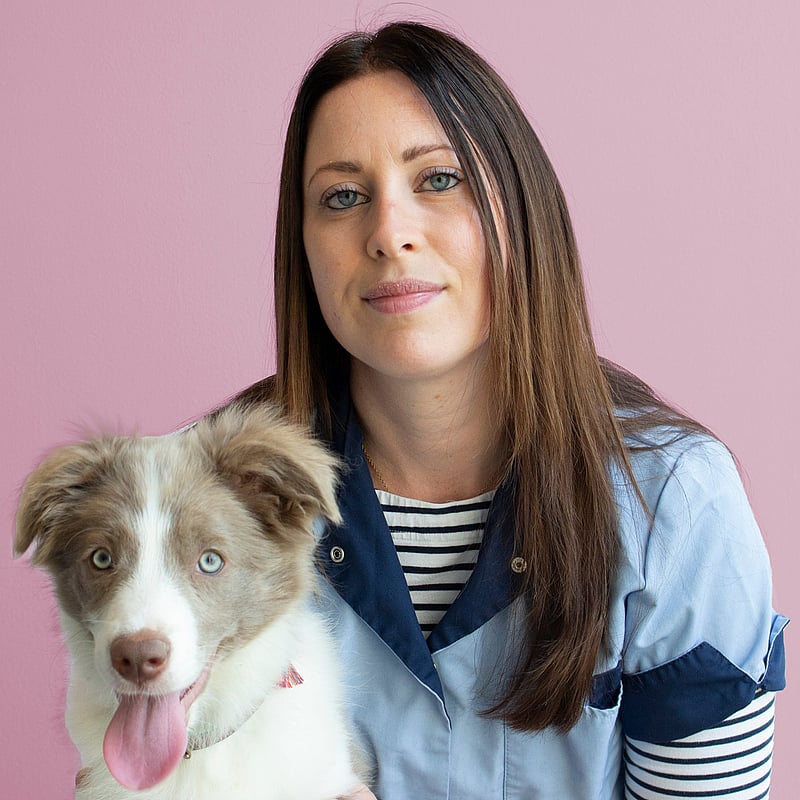 Photo of Lissy, Paraveterinair