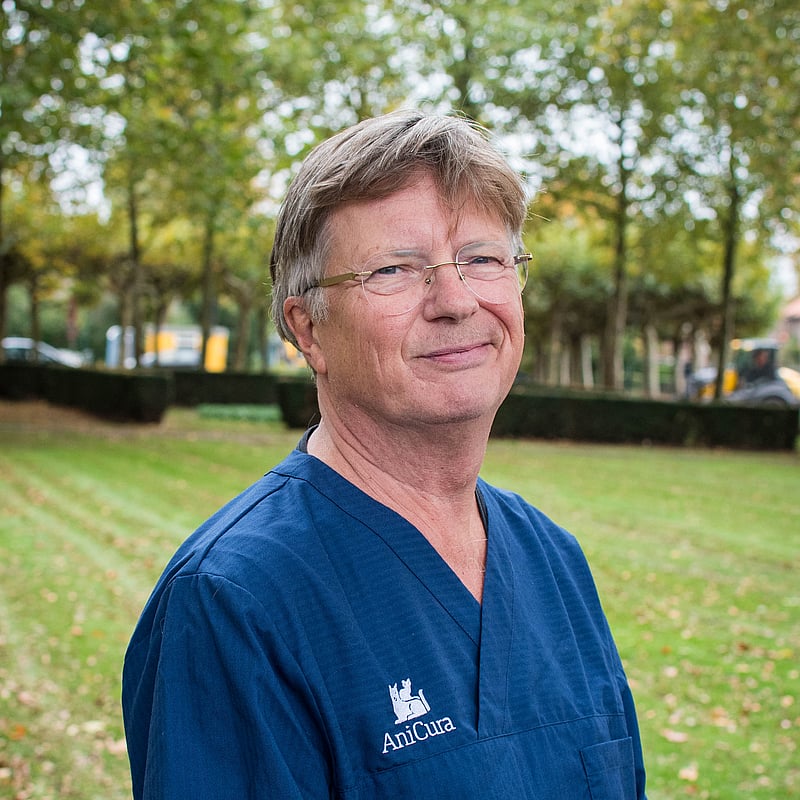 Foto van Tom Franssen, Dierenarts