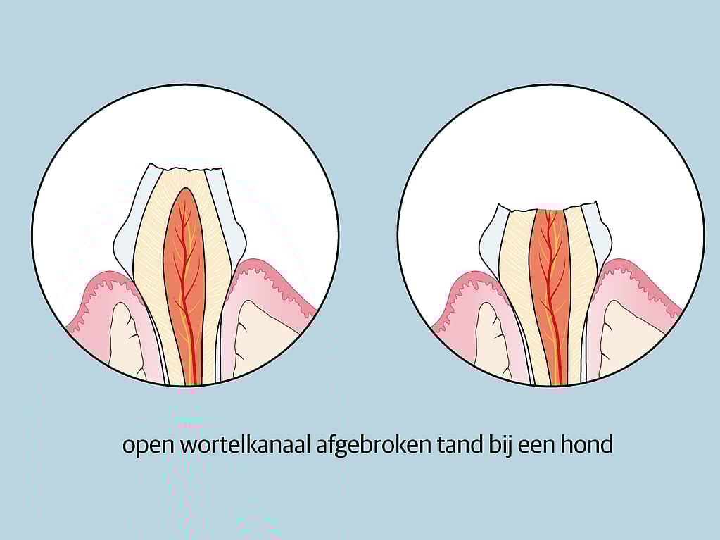 Een close-up van een diagram.