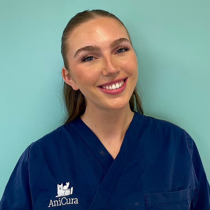 Photo of Yentl, Paraveterinair