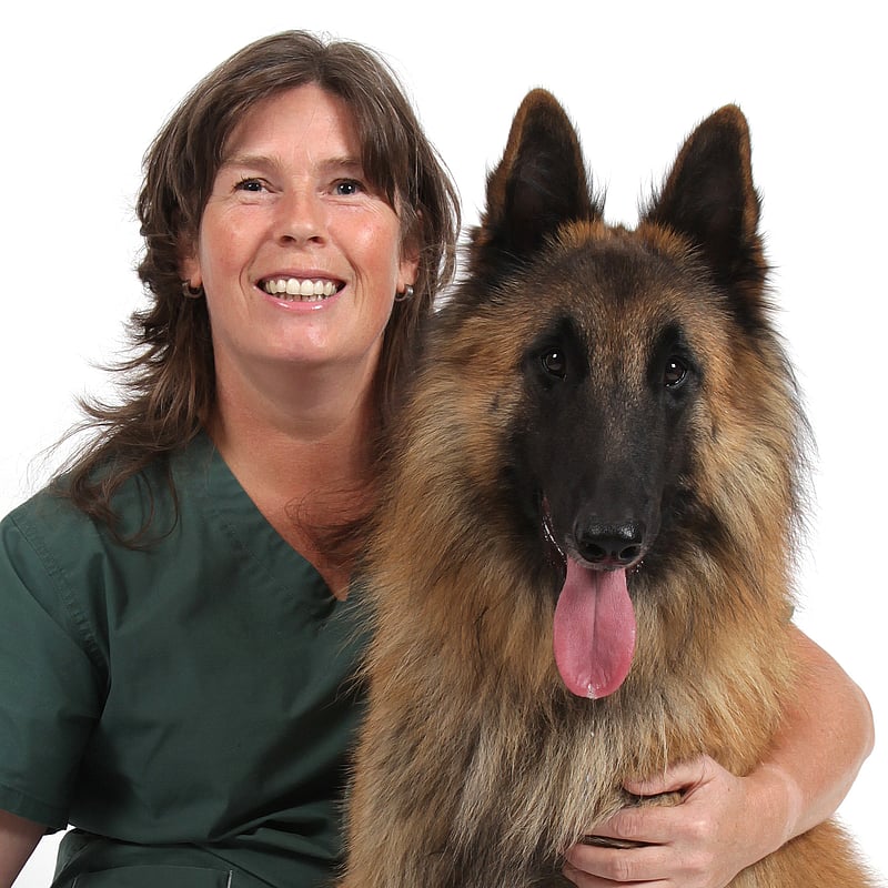 Photo of Jolanda Prins, Paraveterinair Receptionist